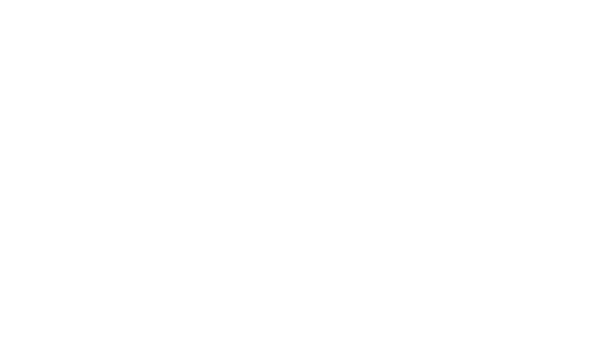Validus Media logo